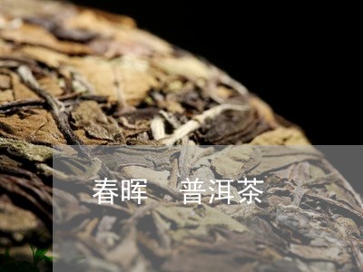 春晖 普洱茶/2023042849273